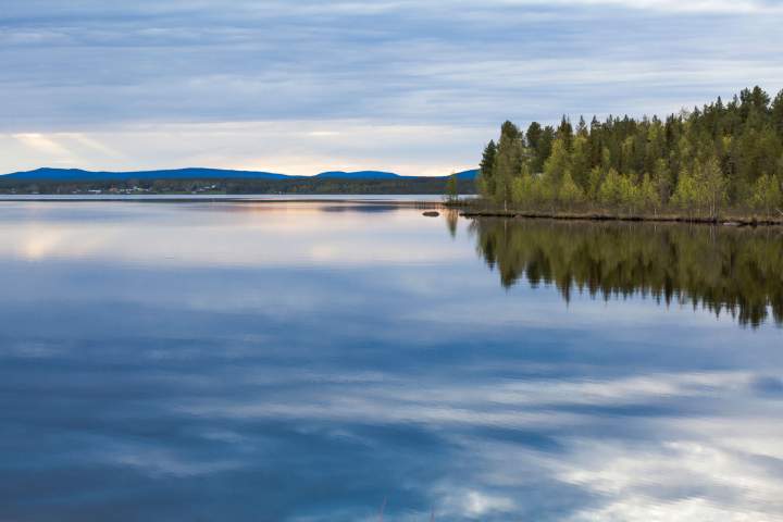 Vatten och skog