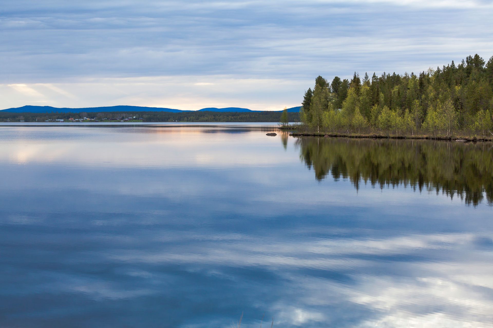 Vatten och skog