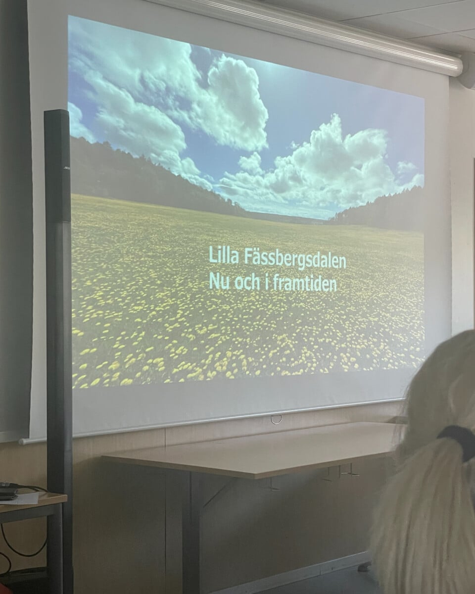 lillafässbergdebatt